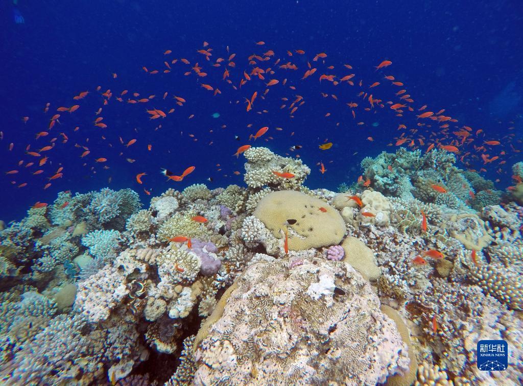 连线机水浒传